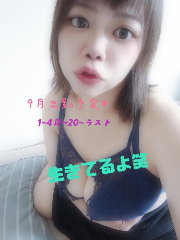 やぁ(*´-ω・)ノ｜写メ日記｜源（みなもと）｜錦糸町・小岩・葛西 人妻デリヘル 丸妻　錦糸町店