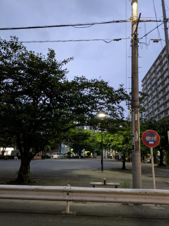 今晩は