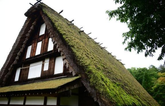 合掌造り｜写メ日記｜星乃（ほしの）｜錦糸町・小岩・葛西 人妻デリヘル 丸妻　錦糸町店